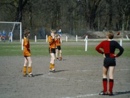 0DIA 1986 RAVA C1
